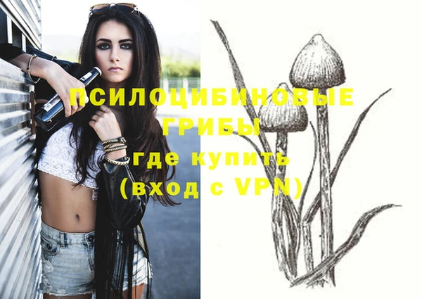 круглые Алексин