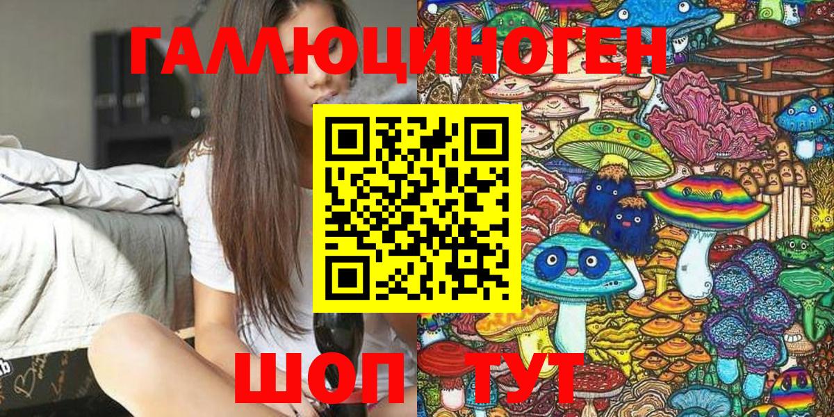 Котлас  Псилоцибиновые грибы Psilocybine cubensis  купить закладку  Вход с VPN 